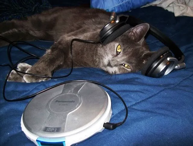 DJ Dog Album Art